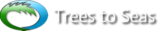 Trees to Seas
